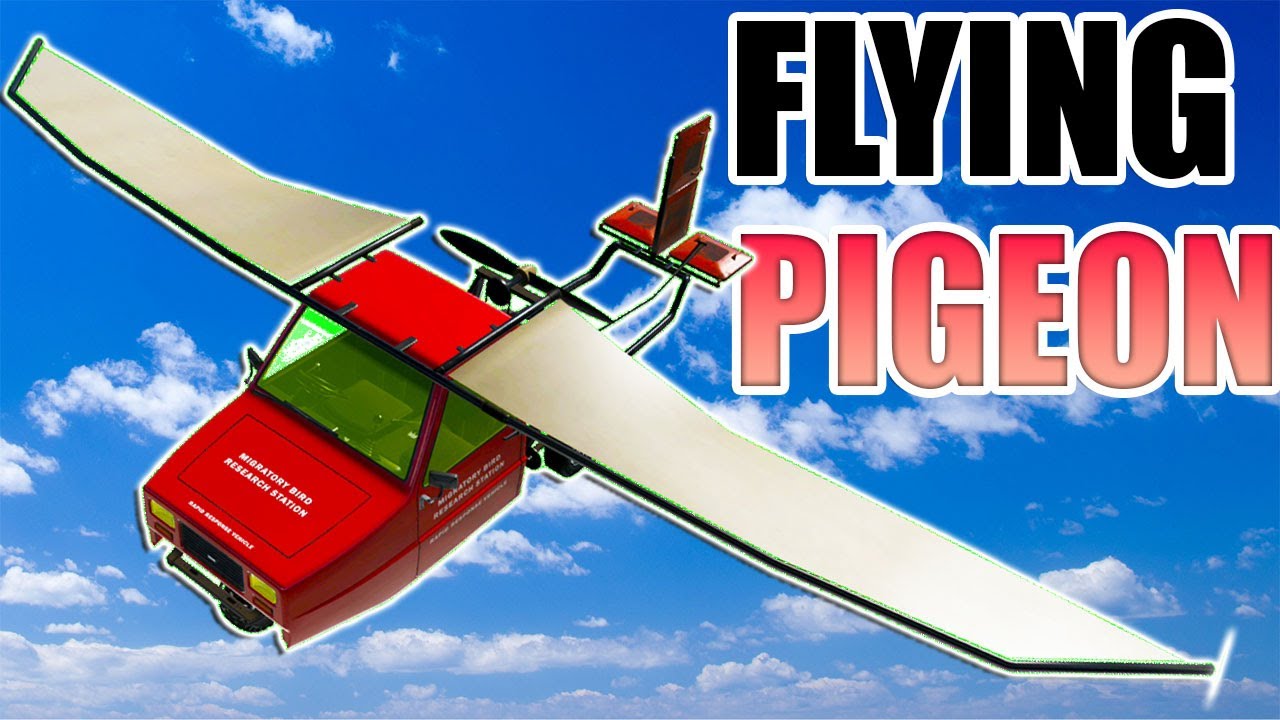The Pigeon Finally FLIES! It's So EASY To Fly! -  BeamNG Drive Fligeon Plane Mod