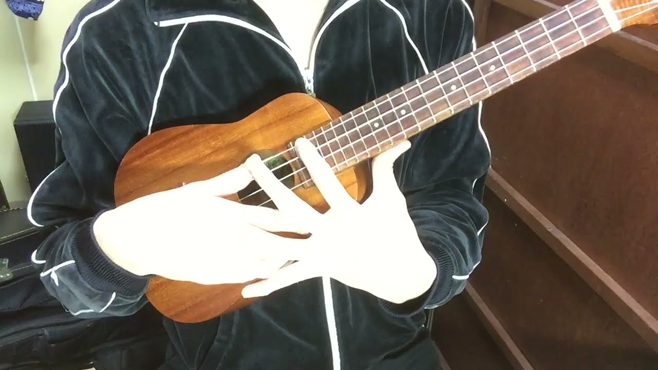 Sonny D コンサート ロングネックウクレレ レビュー