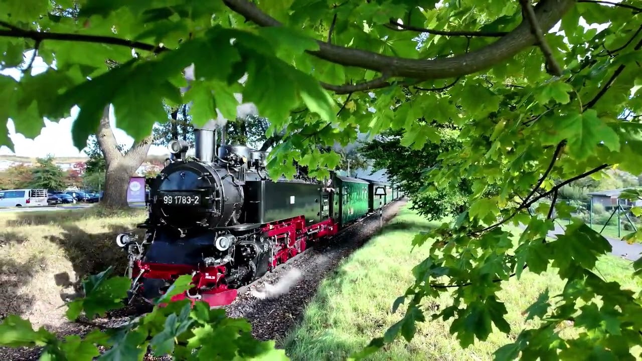 Den Rasenden Roland hinterher auf eine Fahrt mit der Historischen Schmalspurbahn auf Rügen