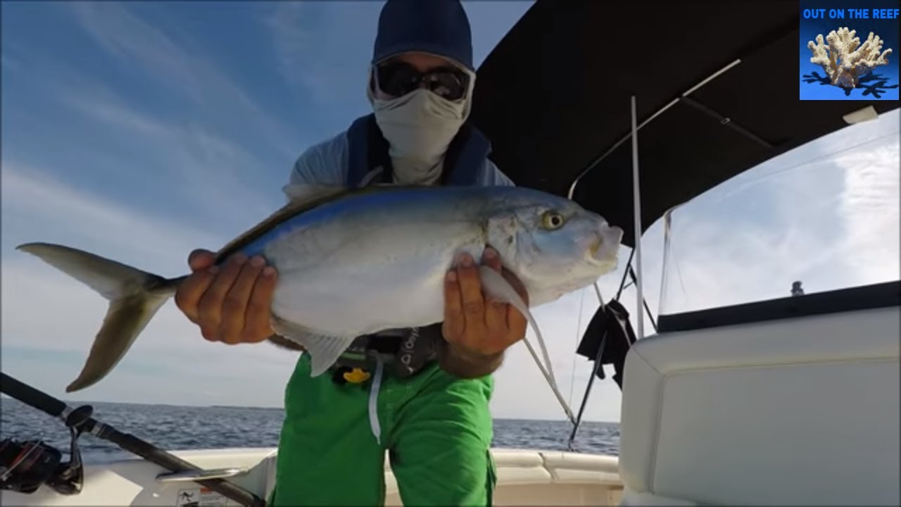 West End Freeport Bahamas Fishing Solo Boating Caribbean Fishing Trip