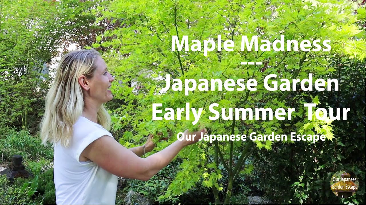 Japanese Garden Summer Tour | Our Japanese Garden Escape