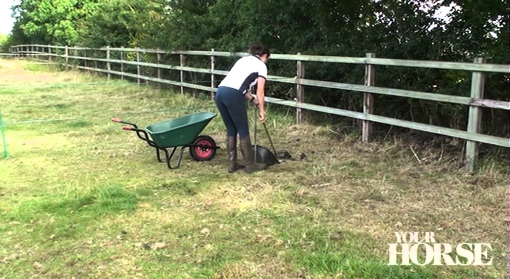 Winter paddock preparations | Your Horse