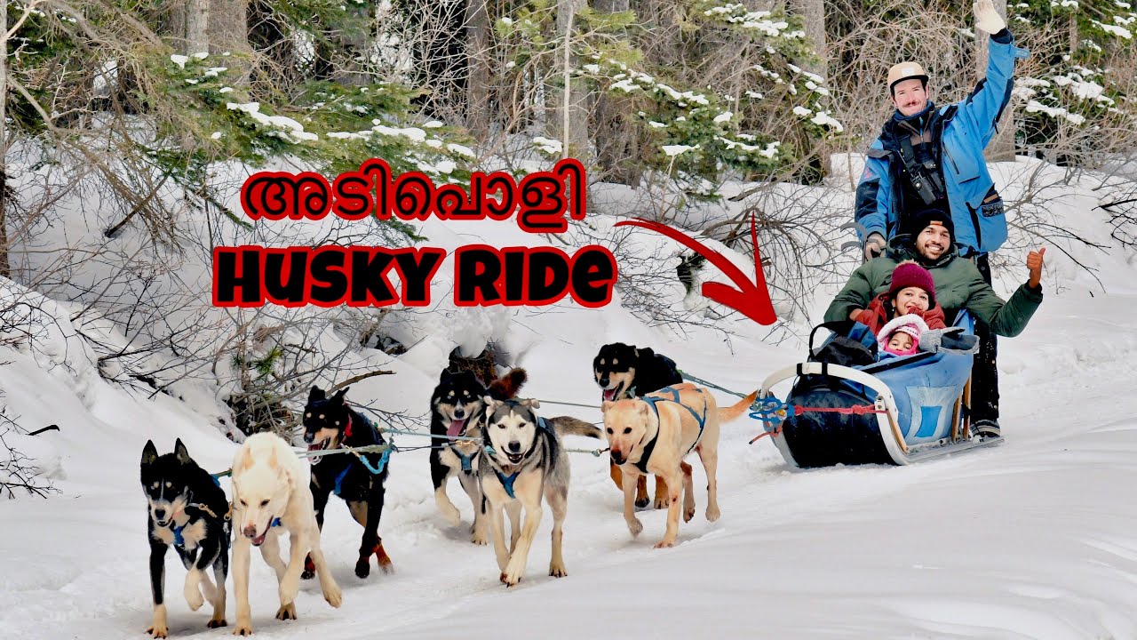 Best Winter adventure ever☃️|must visit Canmore HD| Canada malayalam vlog| Alberta