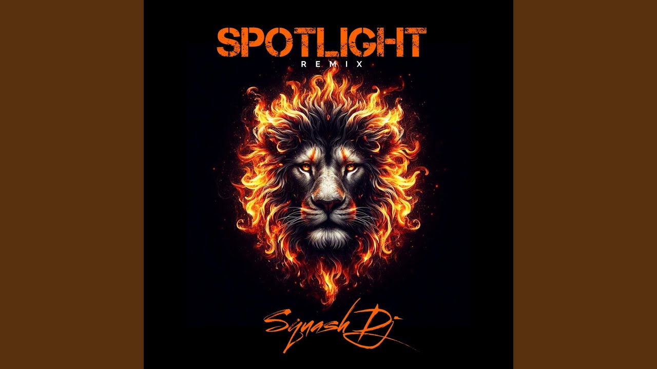 Spotlight (Remix)