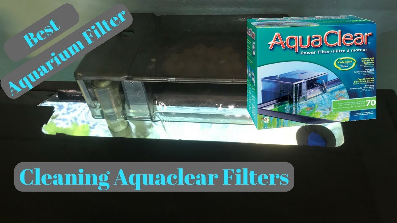 How to clean Aquaclear Filters