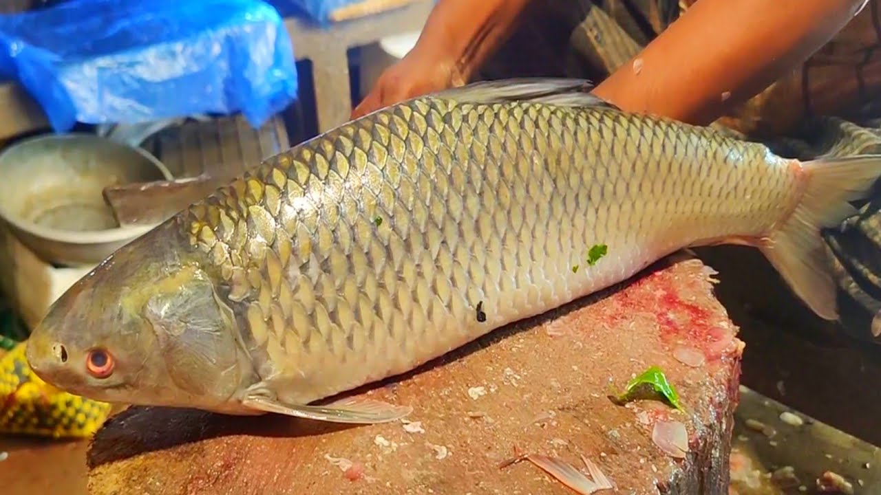 Huge Mrigal Fish Cutting Skills | Amazing Mrigal Fish Cutting Skills Live In Popular Fish Market