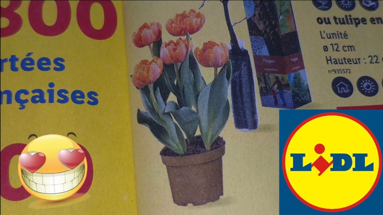 ARRIVAGE LIDL 17 FÉVRIER 2026