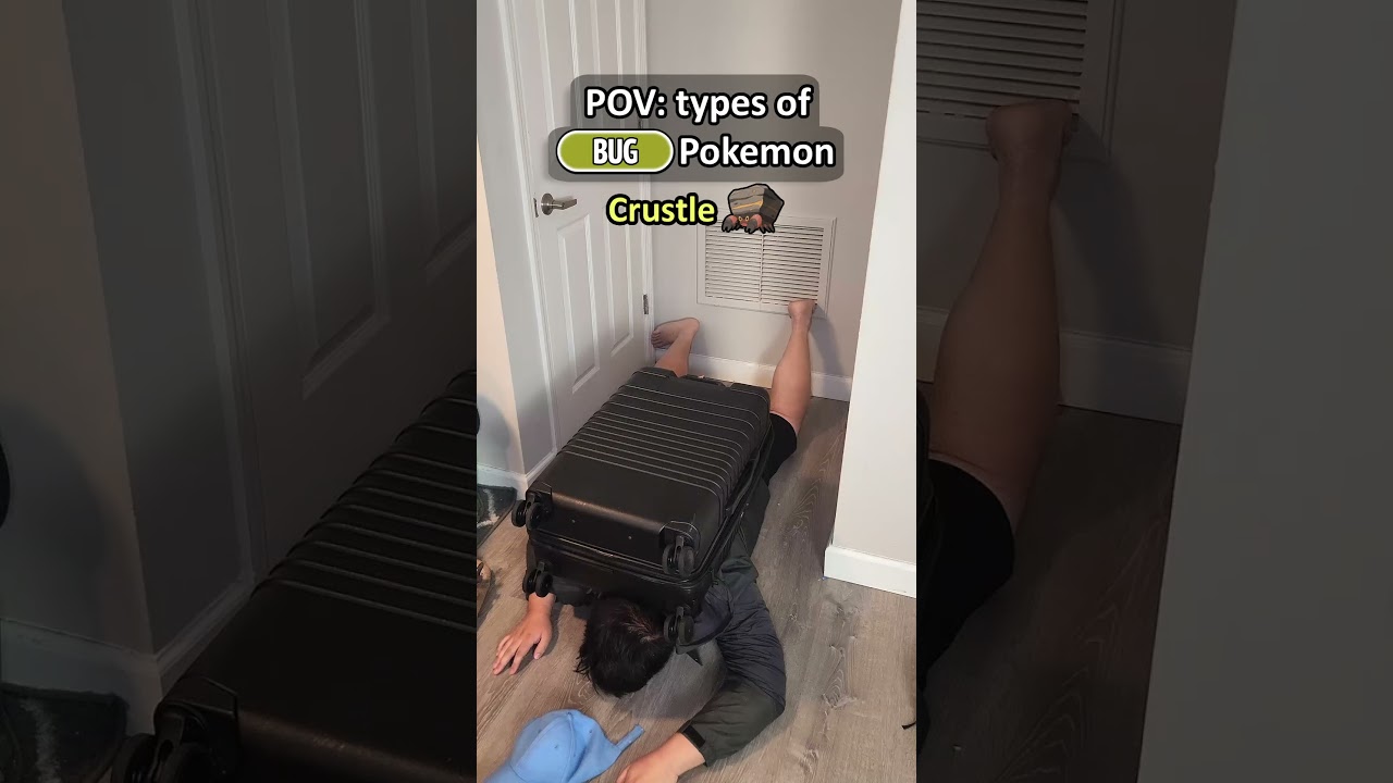 POV: Types of Bug Pokemon