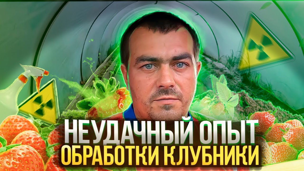 Клубника против гербицида, для чего нужно срезать лист на клубнике