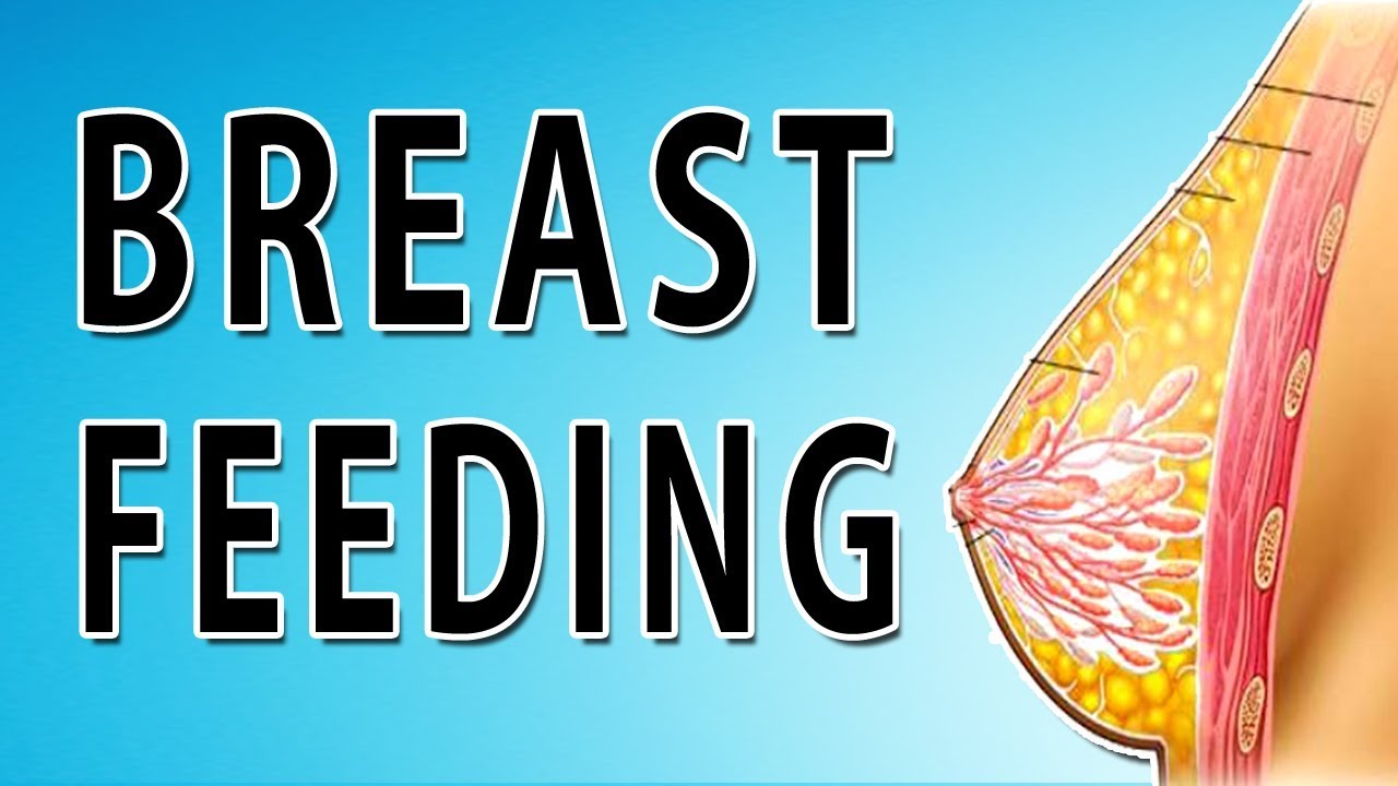 Lactation