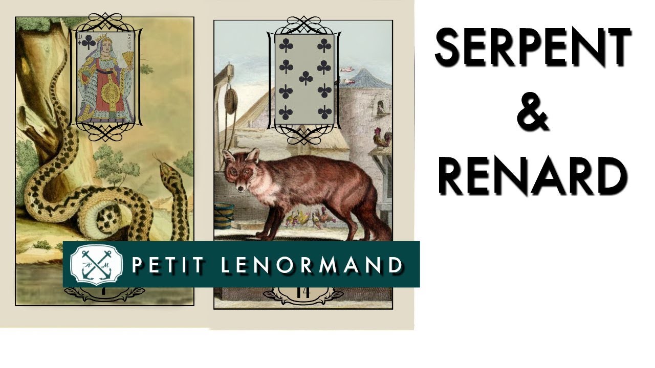 Petit Lenormand | Le Serpent et Le Renard