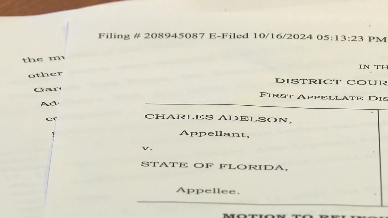Still a path forward for Charlie Adelson appeal after unfavorable court order