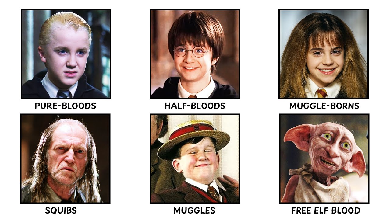 Every Type of BLOODLINE in Harry Potter EXPLAINED in Detail