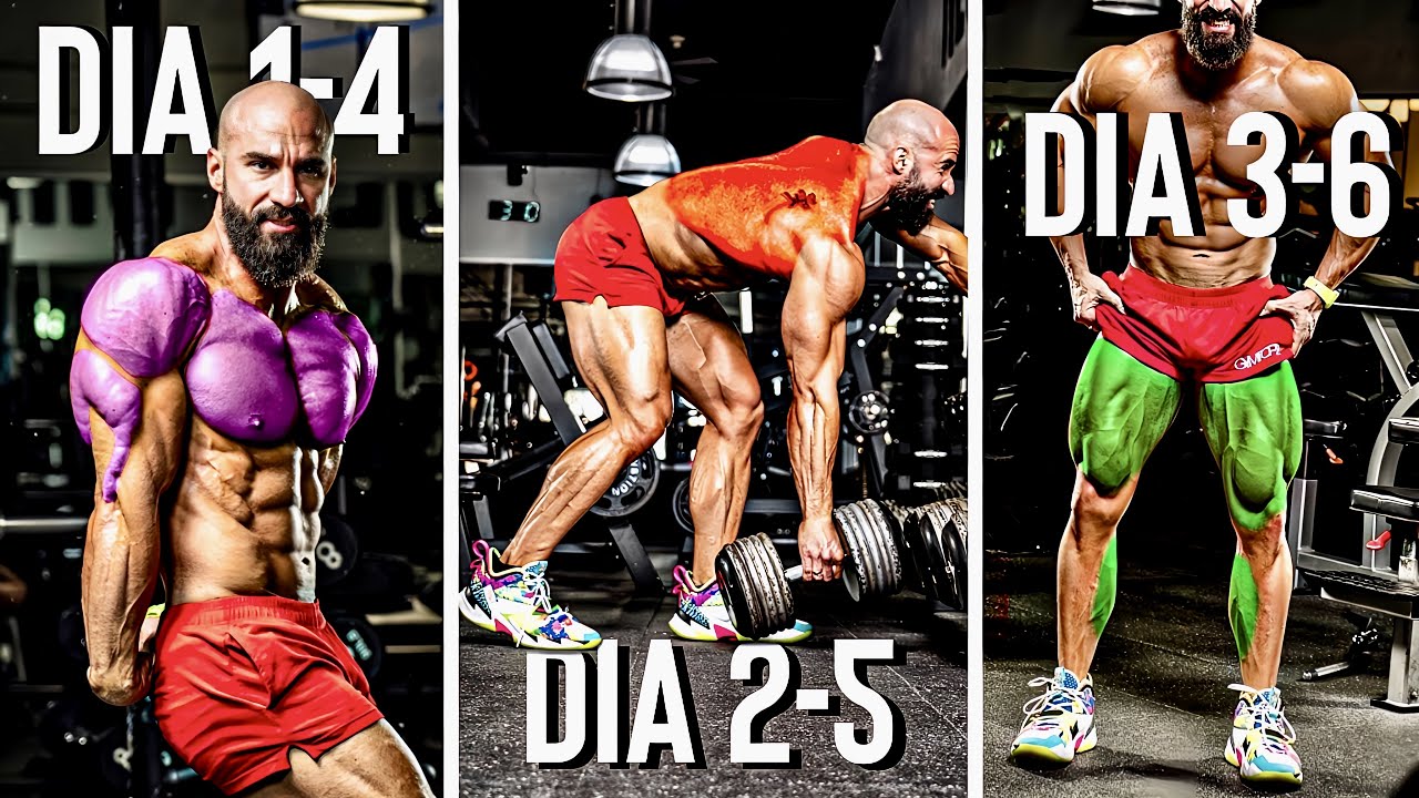 Frecuencia 2: Semana Completa Rutinas gym para Maximizar Resultados