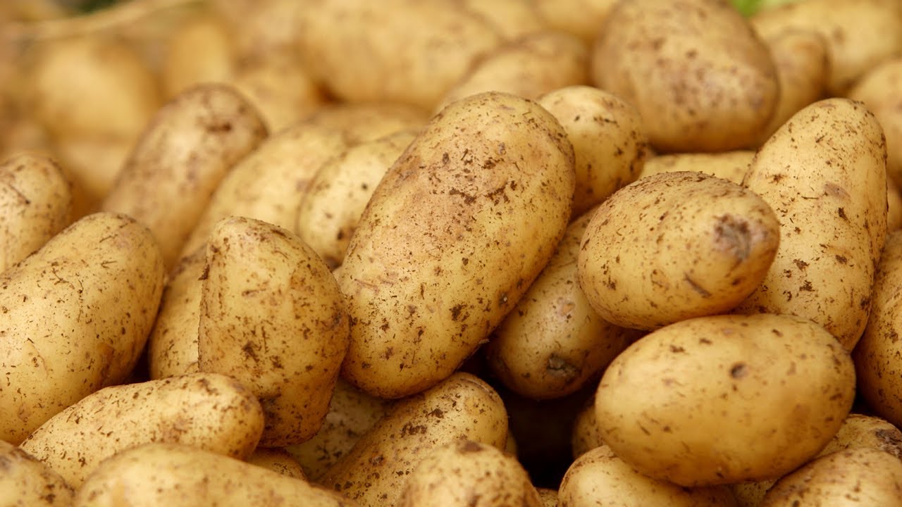 How to Grow Potatoes Anywhere | At Home With P. Allen Smith