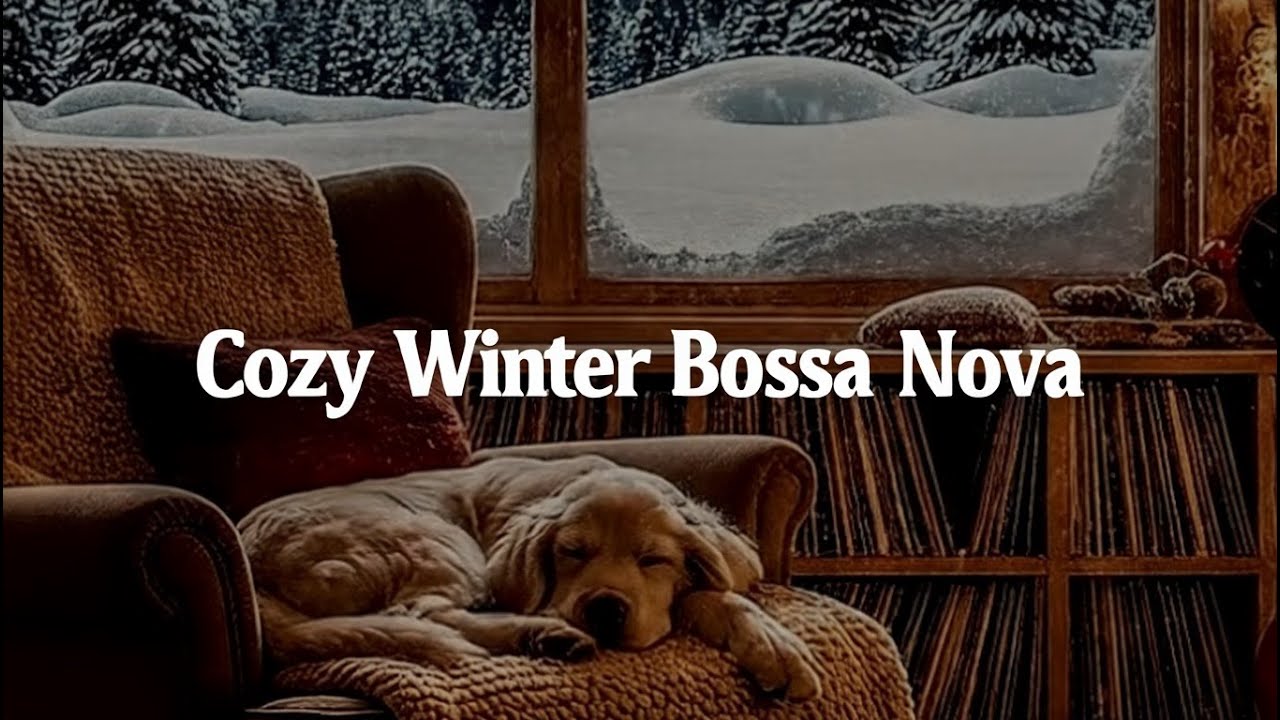 Cozy Winter Bossa Nova 🎁 Holiday Relax & Christmas Jazz Mix