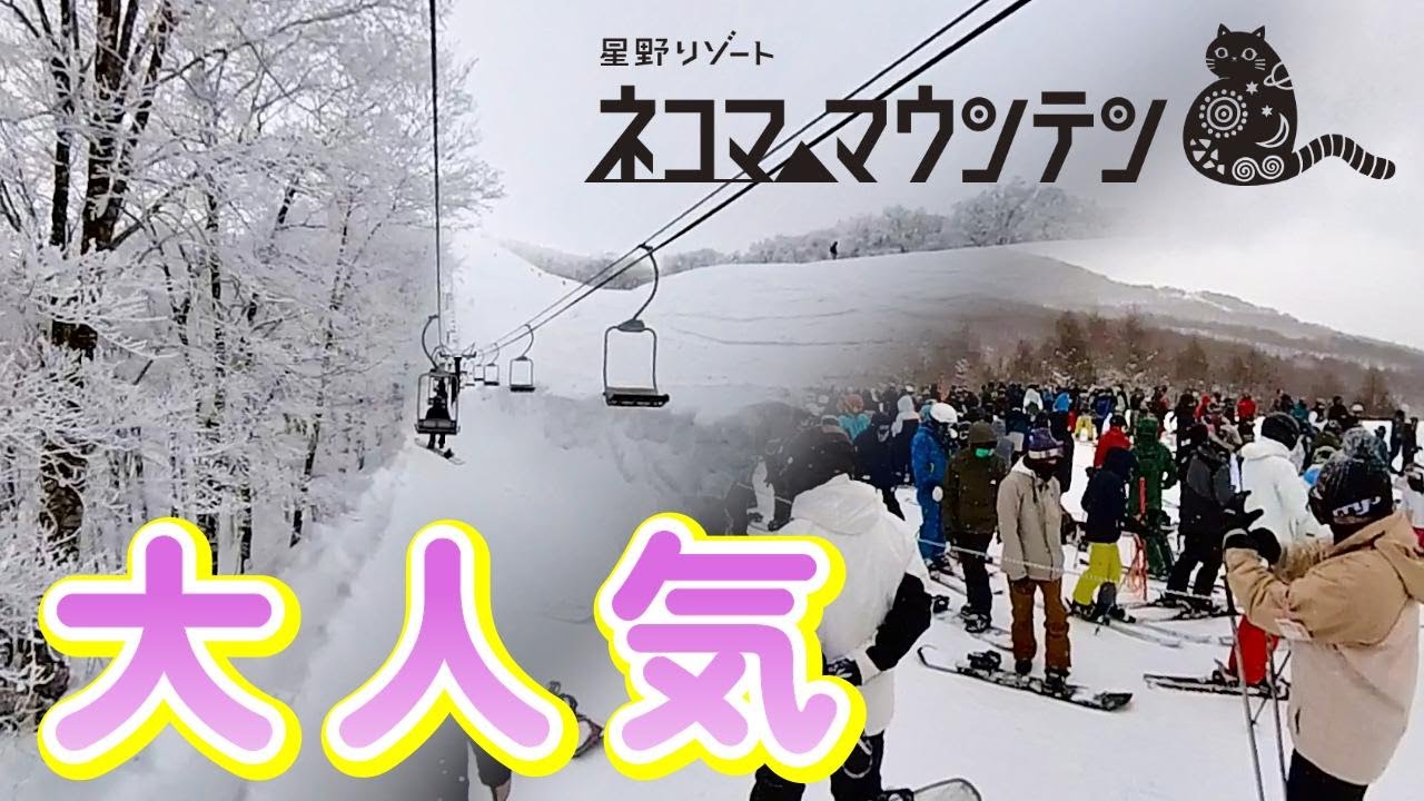 【星野リゾート ネコママウンテン】多彩なコースと極上の雪が大人気!