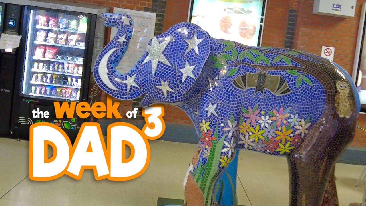The Week of Dad³ | Elephant | 31st July 2023