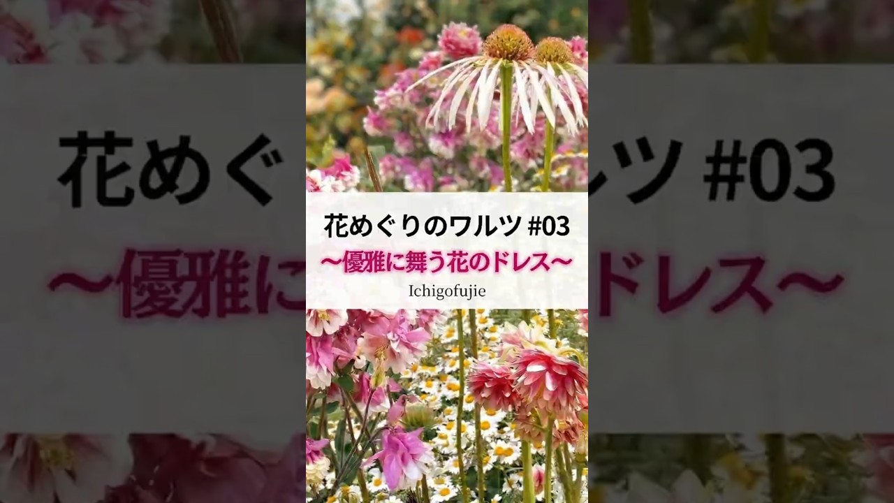 【心おどる瞬間】優雅に舞う花のドレス 宿根草のワルツ＃03