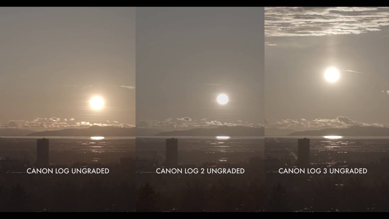 C300 Mark II Firmware Update: Side-by-Side 4K Comparisons of Canon Log, Canon Log 2 and Canon Log 3