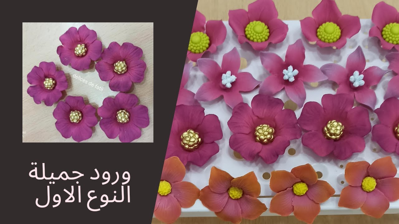 أربعة انواع من الورود رائعة بالوان جميلة النوع الاول