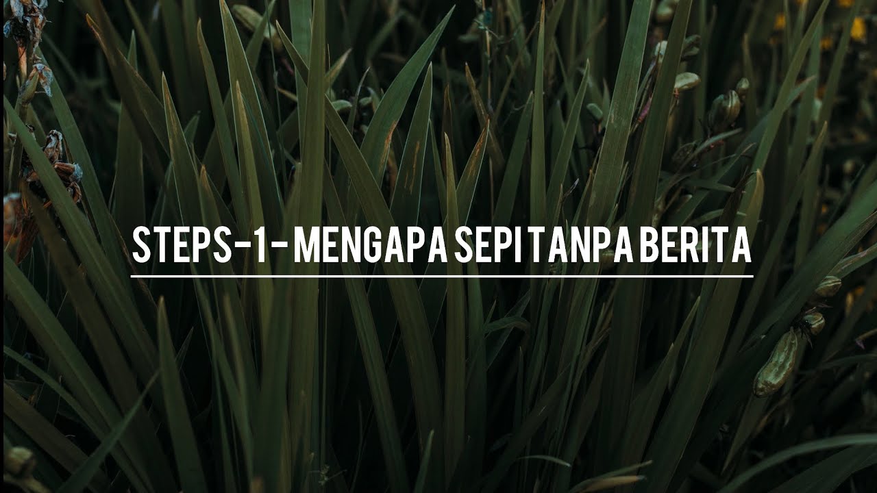 Steps - Mengapa Sepi Tanpa Berita | Lirik | High Quality