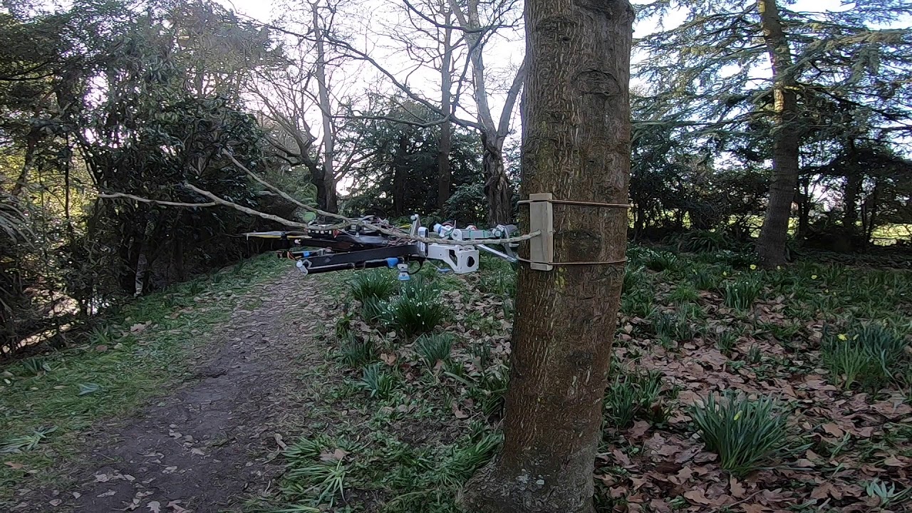 Drone tree pruning in Ilam gardens