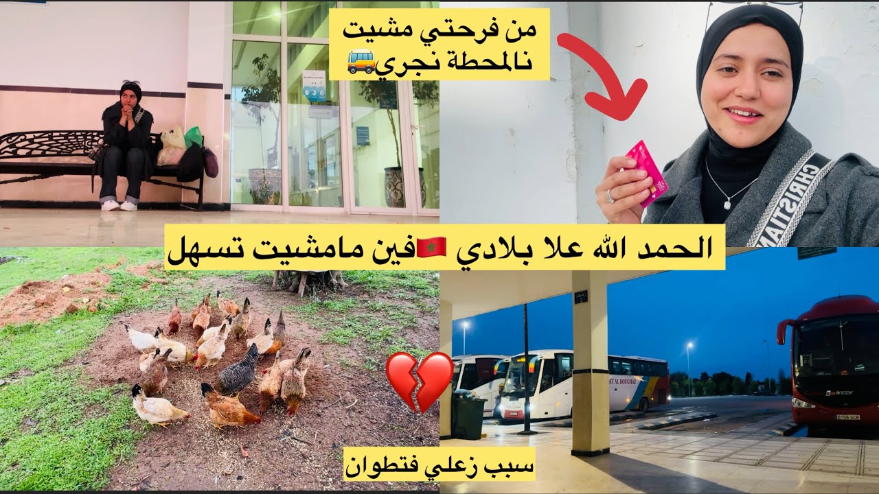 عاش الملك🇲🇦على نعمة الراحة والاتستقرار🤩حققت ليها حلمها🥳