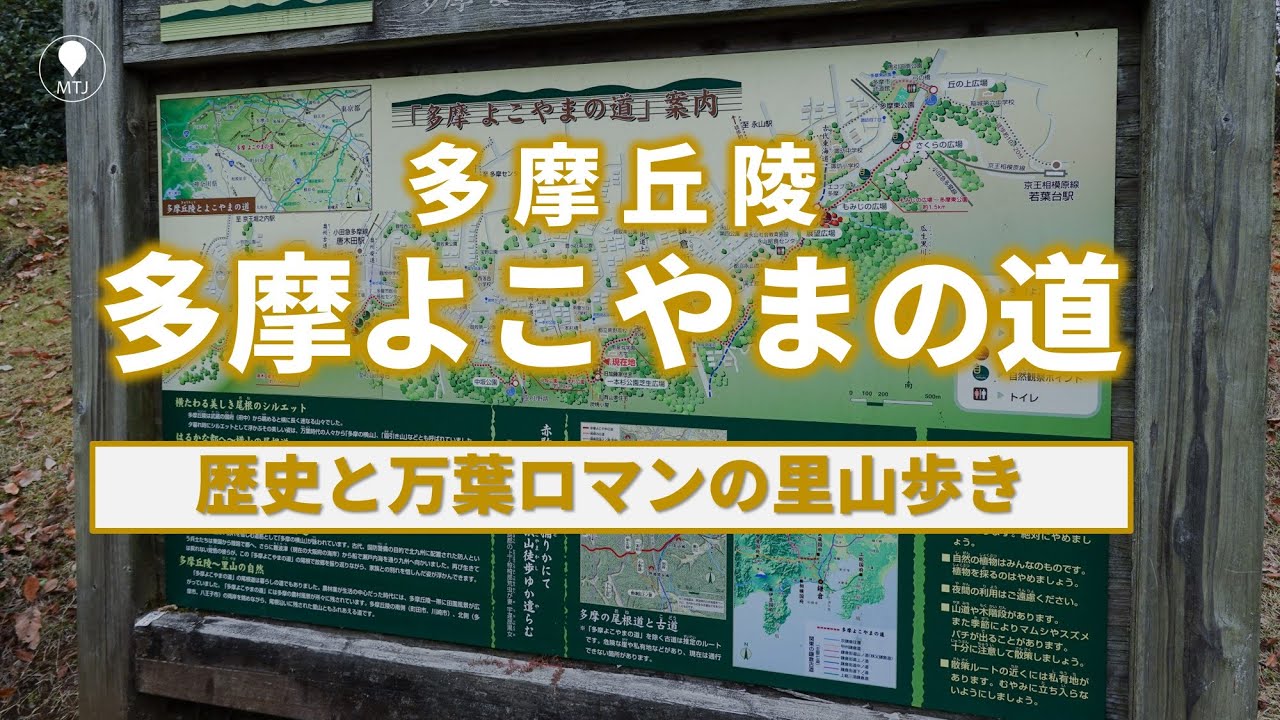 歴史と万葉ロマンの里山歩き！　多摩丘陵 多摩よこやまの道 西順路【ハイキング・電車・2021年11月・秋】諏訪ヶ岳　万葉集　防人見返りの峠