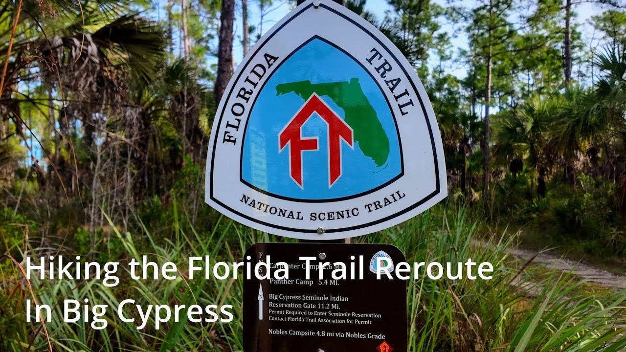 Hiking the Orange White Loop Trail in Big Cypress National Preserve