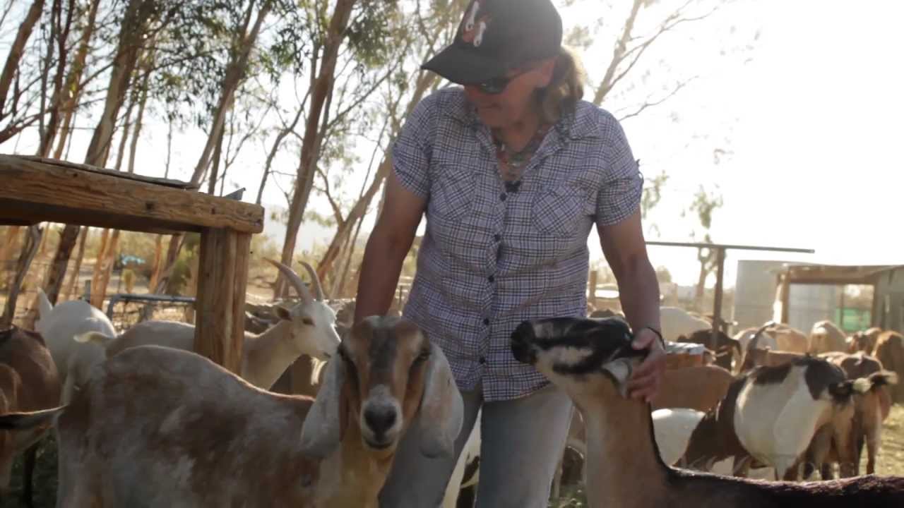 California's Small Farms: Soledad Goat Farm