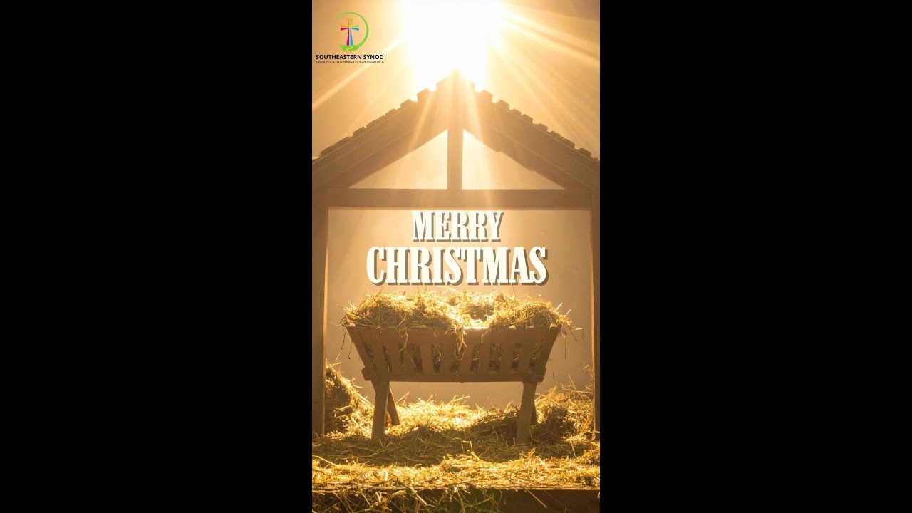 Bishop Strickland's Christmas Message