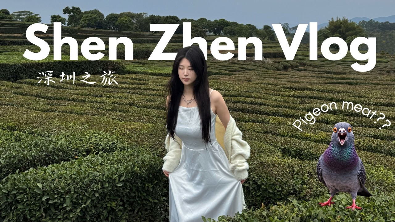 Пробую голубиное мясо в Китае | Отдых или... хаос?