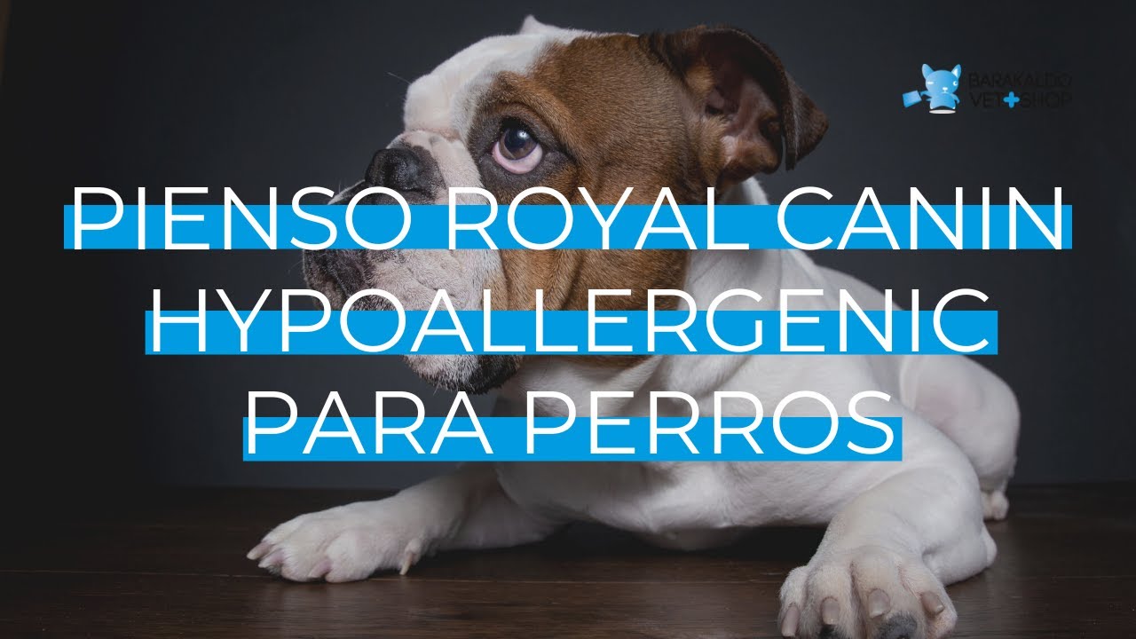 Pienso 【 ROYAL CANIN HYPOALLERGENIC 】 para PERROS 🐶