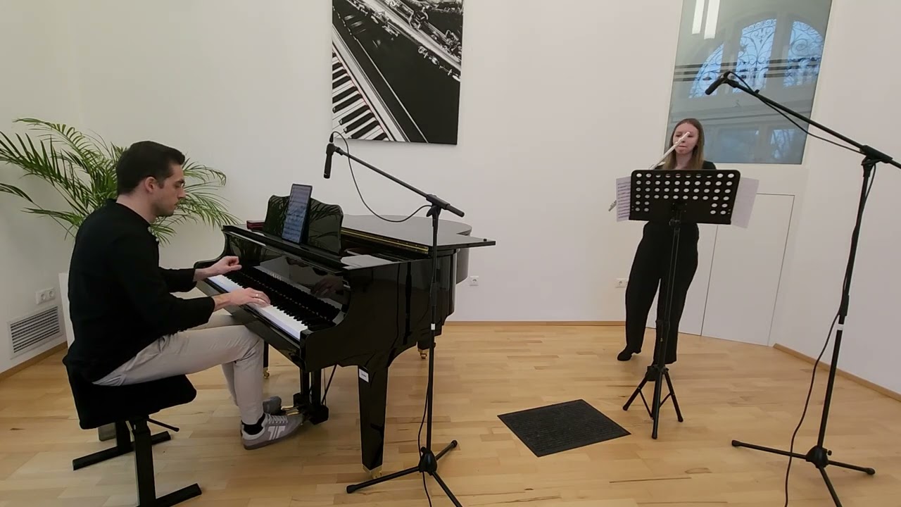 Varga Dorina  - Stamitz: Concerto in G major I. mvt.