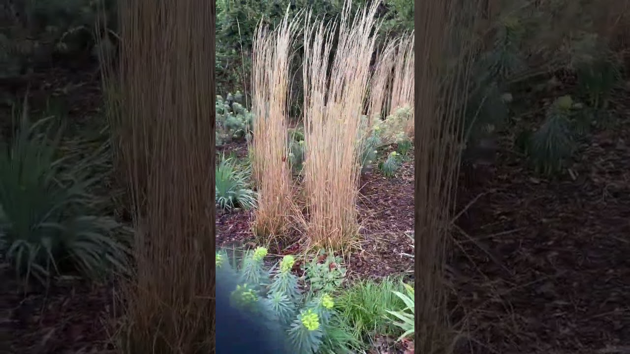Gunnersbury Park, London, England 英國 倫敦 甘納斯伯里公園