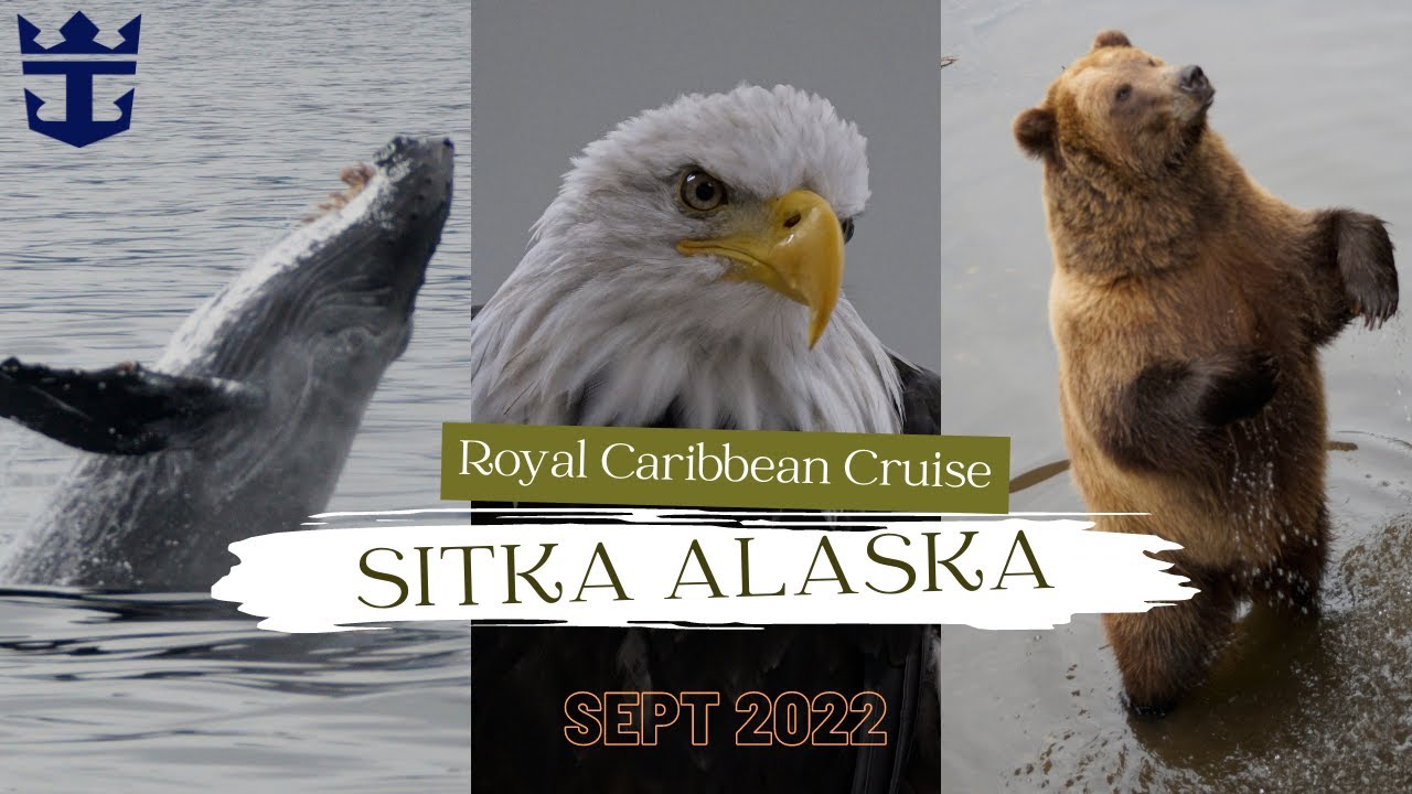 Whales, Bears & Eagles in Sitka Alaska | Royal Caribbean Excursion