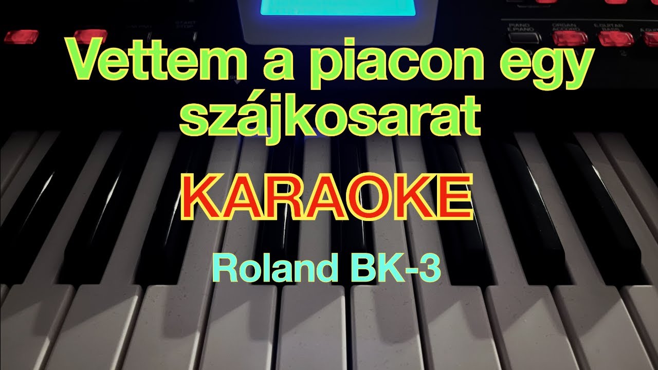 Vettem a piacon egy szájkosarat (KARAOKE+AKKORDOK) - Roland BK-3