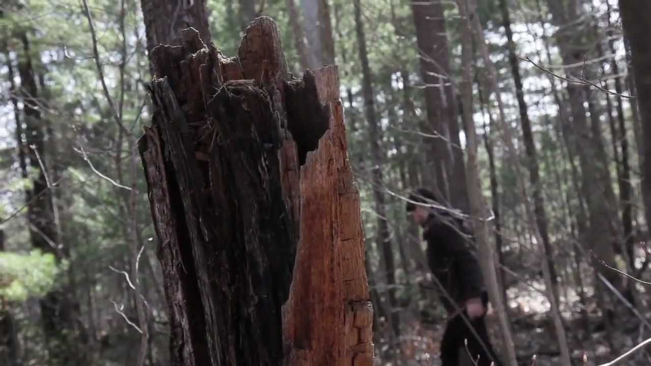 Daniel Roth - Promised Land - Official Video