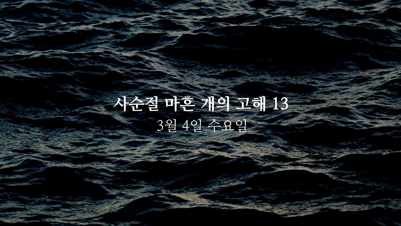 사순절 마흔 개의 고해 · 13