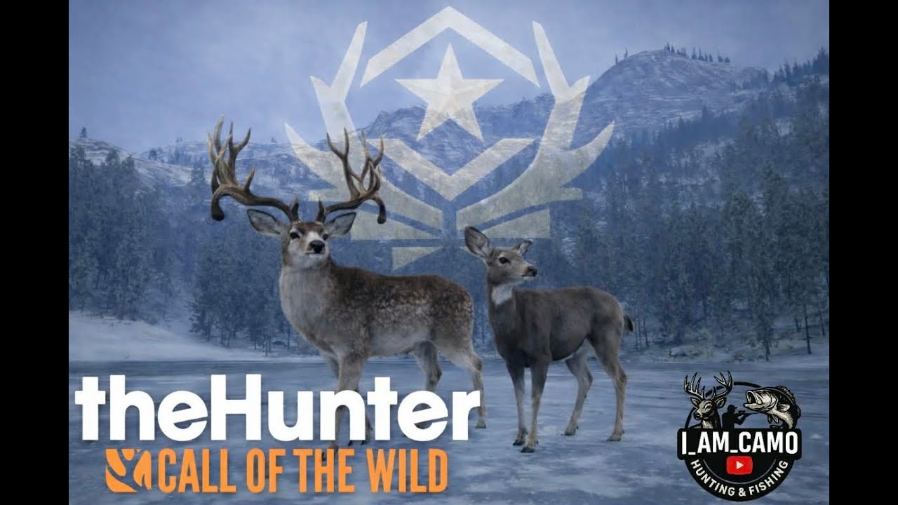 I was hunting for Diamonds when the BALL SACK RACK GREAT ONE showed up!!!! Taken with the .257