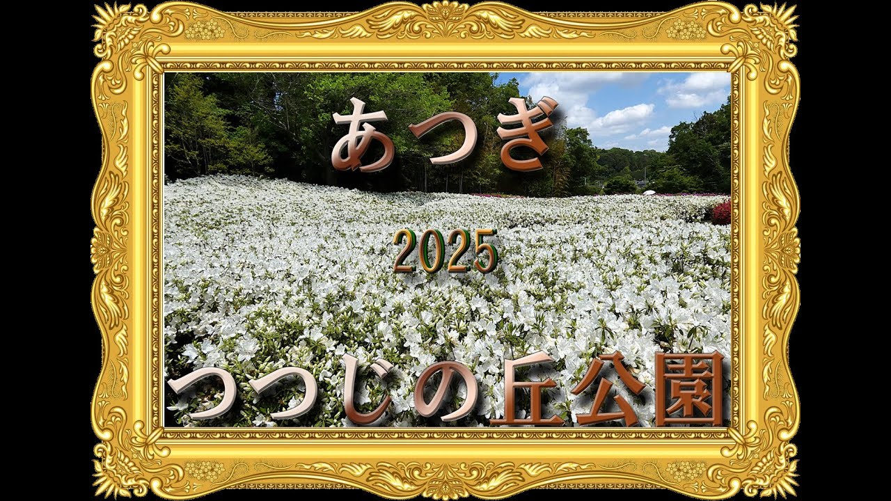 あつぎつつじの丘公園　　2025.05.01.