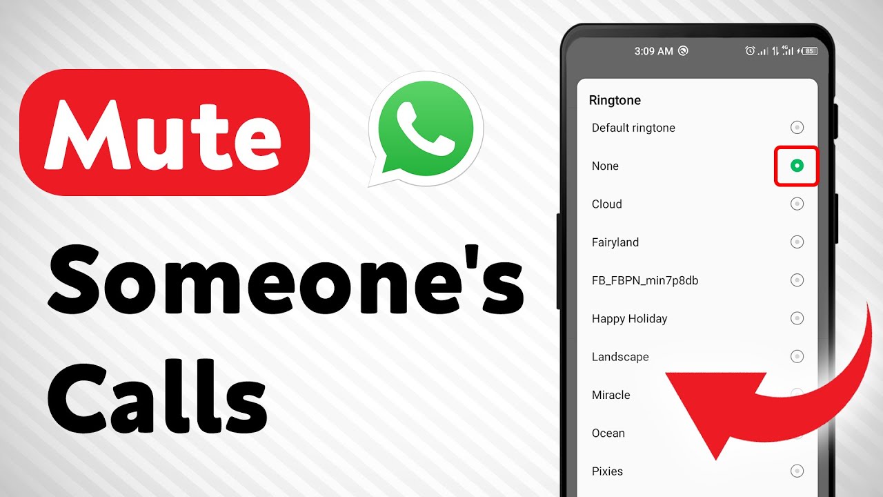 How to Mute someone's Calls on WhatsApp (Updated)
