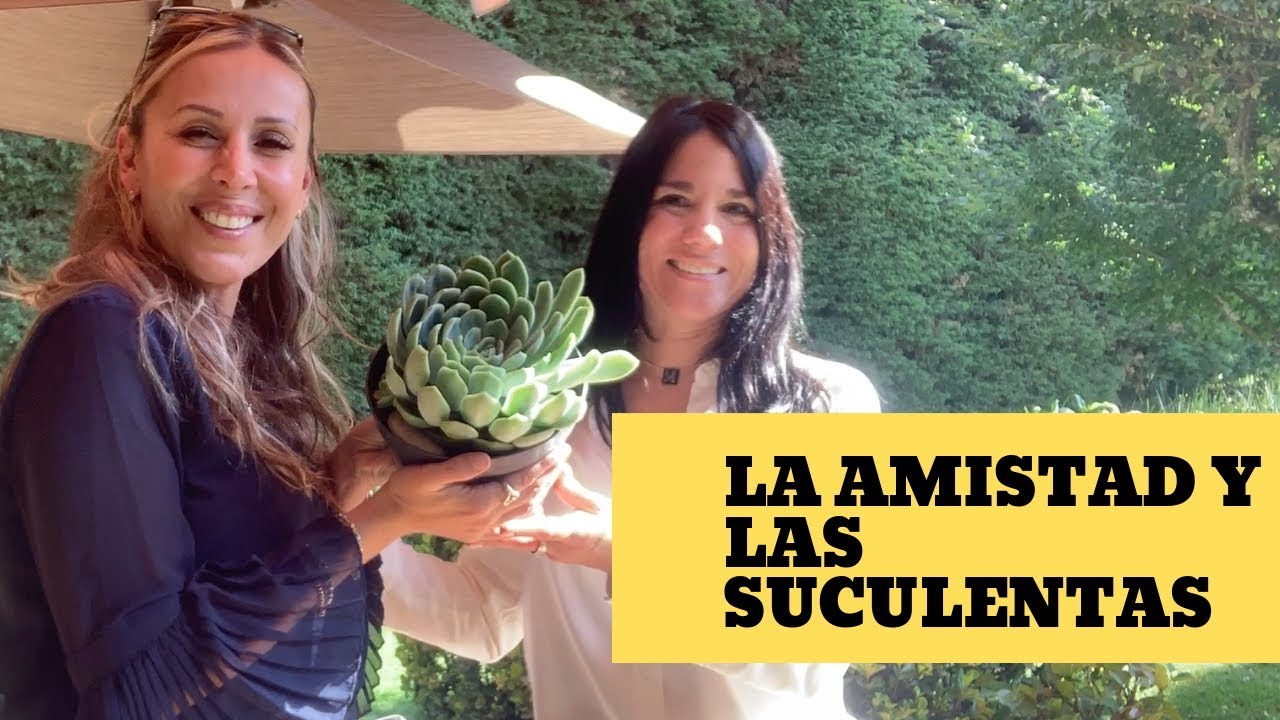 👩🏼&zwj;🌾 Las Suculentas y las Amigas: Una historia Suculenta
