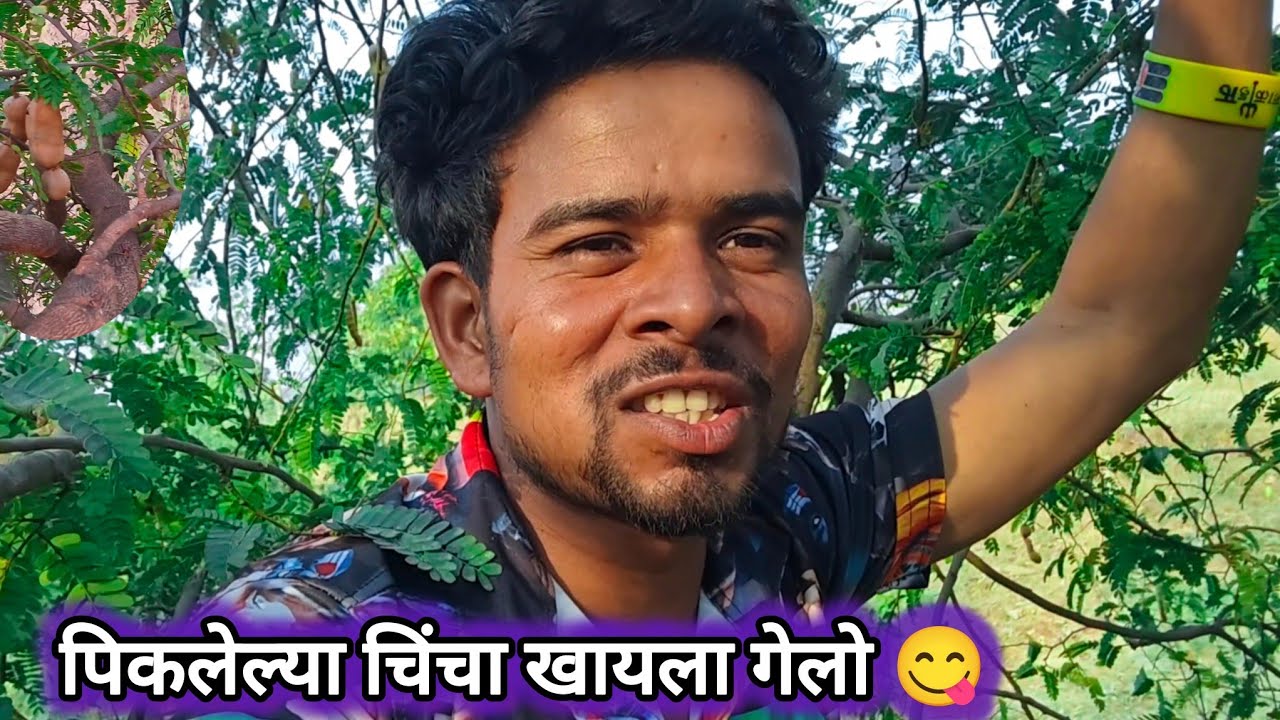 पिकलेल्या चिंचा खायला गेलो 😋 gavakadache marathi vloge 