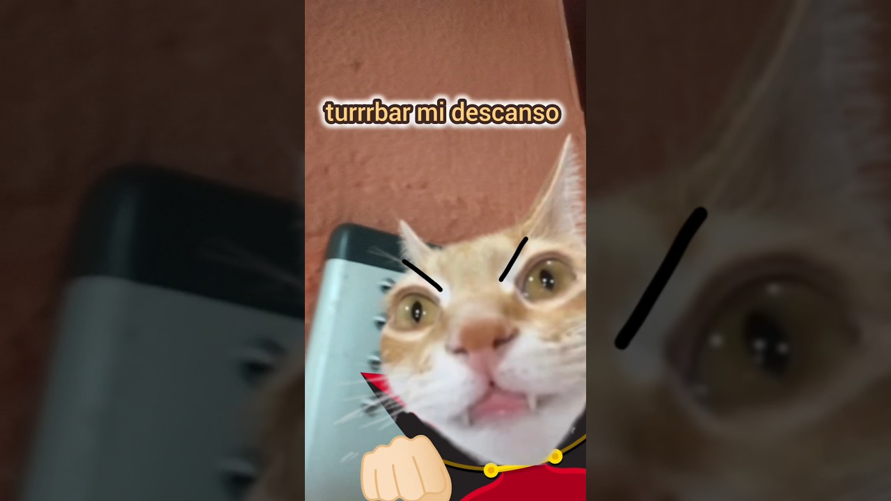 Viernes al telefonillo con mi padre 13 📞🦇 #humor #gatos #padre #imitacion #acentos