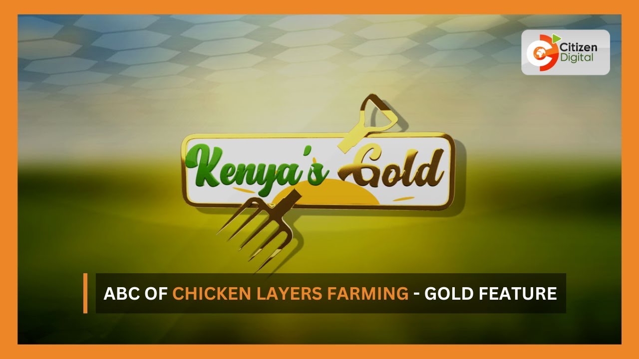 | Kenya's Gold | ABC of chicken layers farming - Gold Feature