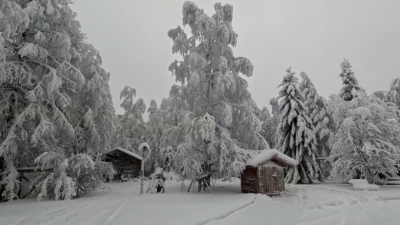 Korvessa el&auml;v&auml; Oskari, Kipua vastaan kuntojumppa.
