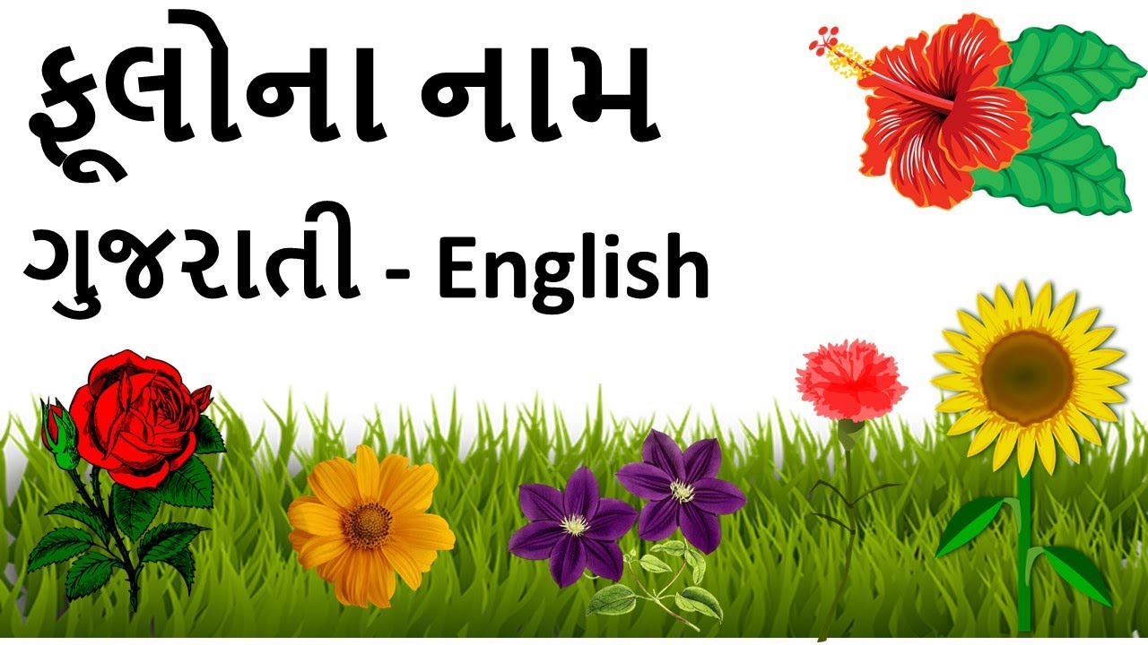 ફૂલોના નામ - Flowers Name in English and Gujarati | Flower for Kids | Pushp |