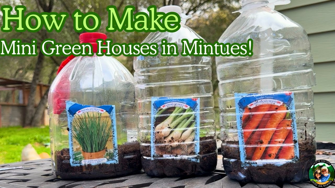 Easy Homemade Self-Watering Mini Greenhouses for Seed Starting | DIY 